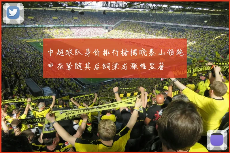 中超球队身价排行榜揭晓泰山领跑申花紧随其后铜梁龙涨幅显著